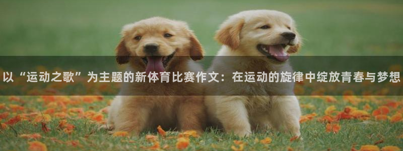 新闻图片